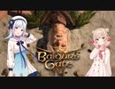 BaldursGate3髭は後付できないから気をつけろ