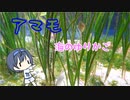 つづみの10秒おさかな解説#20　アマモ
