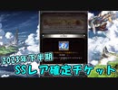 【グラブル】SSレア確定チケット(2023)【ガチャ動画】