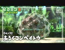 【歩く金平糖】ピクミン3DX初見のんびり実況【32日目】