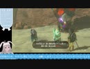 【生放送アーカイブ】ゴロンの異変調査に向かう道程なティアキン生放送11回目【8/9】