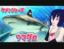 【サメンジャーズ】ツマグロ