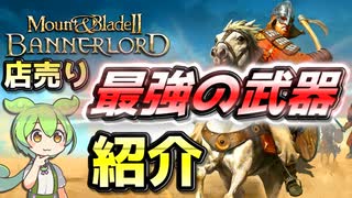 【Mount & Blade 2】店売り最強の武器をご紹介【マウントアンドブレード2】【Mount & Blade II: Bannerlord】