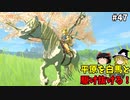 【ゆっくり実況】5度目のゼルダ！ 初めてのティアーズオブザキングダム！ part47 【ティアーズオブザキングダム】