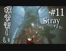 【Stray】個性的すぎる住人たち【能井 遥】#11