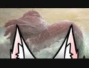MTGA イタコマジック78