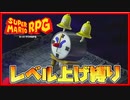 レベル上げ禁止でスーパーマリオRPG メビウス戦