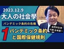 大人の社会學　パンデミック条約の危機　2023.12.9　谷本誠一　①パンデミック条約と国際保健規則