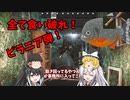 【EFT】#  4 今期のメタ弾丸！？ピラニアでバイザーを食い破れ！！！【タルコフゆっくり実況】