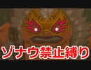 ゾナウ禁止縛りpart14【ティアキン/制限プレイ/ゼルダの伝説ティアーズオブザキングダム】