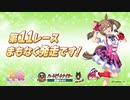 【ウマ娘風】1月16日11R オープン・船橋ケイバ ウマ娘コラボ記念(船橋・2024)