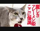 プリンセス・フレーメン、爆誕する