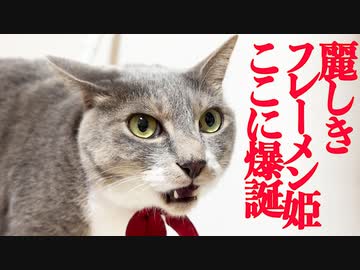 プリンセス・フレーメン、爆誕する