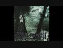 CRADLE OF FILTH - Hell Awaits (SLAYER cover)