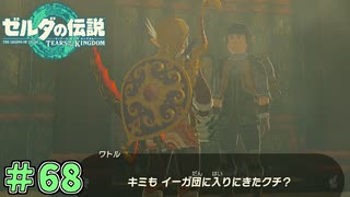 よく入ろうと思ったな　「ゼルダの伝説～ティアーズ・オブ・ザ・キングダム」　＃68