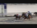 2024年1月23日高知競馬2R 東京スポーツ新聞社協賛 第38回全日本新人王争覇戦 第１戦(C3-2組) マジックバローズ
