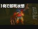 #89【ゼルダの伝説 ブレス オブ ザ ワイルド】一撃の試練開始！