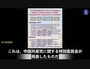01/18/2024 新中国連邦(NFSC)のニコルさんはグラント・スティンチフィールド・ショー( Grant Stinchfield Show)に出演