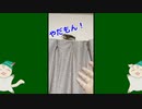 【 #フクロモモンガ 】フクモモジャンプを見たいなら広い家で！【 #おはモモンガ 】