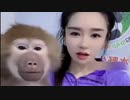 ホモと見る美顔フィルターの女の顔に驚くサル