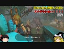 【ゆっくり実況】5度目のゼルダ！ 初めてのティアーズオブザキングダム！ part49【ティアーズオブザキングダム】