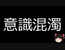 【ゆっくり朗読】ゆっくりさんと不思議な病気 その626