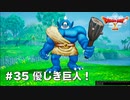 【初見実況】出会ったモンスターのドット絵を描くドラクエXオフライン#35 ヴァース大山林へ！