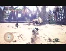 モンスターハンターワールドアイスボーン戦記＃４