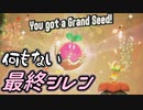【SUPER MARIO BROS. WONDER #28】最終シレン【ゆっくり実況】