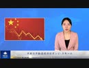 中共の不動産経済はポンジ･スキーム