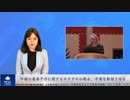 外国の選挙干渉に関するカナダの公聴会、中国を動揺させる