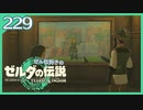 #229【ゼルダの伝説ティアーズオブザキングダム】ちょっと世界を翔けてくる【実況プレイ】