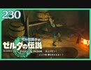 #230【ゼルダの伝説ティアーズオブザキングダム】ちょっと世界を翔けてくる【実況プレイ】
