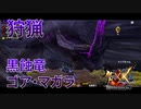 【実況】ぼっちハンターが行く！モンスターハンターXX第75回