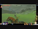 ⌘プレイアーカイブ⌘ ハイラルソード その411