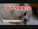 名探偵ポメラニアン～おやつ当て編～