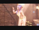 【DoaXvv/フィオナ】ポーズ:立ち・手招き/水着:パピー