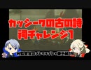 【刀剣乱舞偽実況】W監査官のブレワイプレイ　番外19