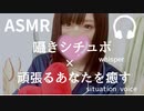 【ASMR】お姉さんがよしよし癒します♡【男性向け シチュエーションボイス 】