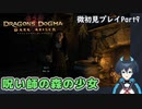 【DDDA】チトチトのドラゴンズドグマ：ダークアリズン微初見プレイPart9