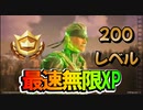 【フォートナイト】４マップ海外最速無限XPマップでレベル上げ【クリサポ　ギフト企画】　VOICEVOX:ずんだもん