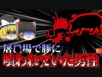 【2023年】"豚の逆襲" 食肉加工場で発見された変4体‥・処理するはずの豚が生きていた？【ゆっくり解説】