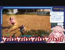 レアパルに挑むも敗走してしまうめめめ
