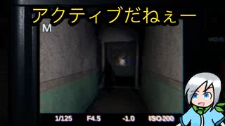 アクティブな幽霊にも臆さない幽霊調査員〈Phasmophobia〉