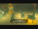 ゼルダの伝説　ブレス オブ ザ ワイルド　実況プレイPart170