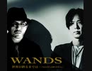 WANDS×上杉昇 世界が終るまでは… [ 第5期ver.］〜mix〜