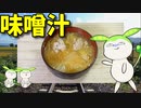 【VOICEVOX ずんだもん】  寒い日に良さげ!!  貰い物の白菜と鰯ツミレを使って豆板醤入りの「ピリ辛風味の味噌汁」作るのだ!!　