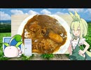 【VOICEVOX ずんだもん】 こんなのでいいのだ!!  SSDをクローンしながら美味しい「カレーライス」を作るのだ!!