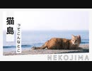 【ゆっくり旅行】猫が沢山いる島「相島」で写真を撮るぞ！ | いいとこめぐり #13