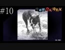 〔極限脱出 9時間9人9の扉〕青年、脱出ゲームに挑む　part10